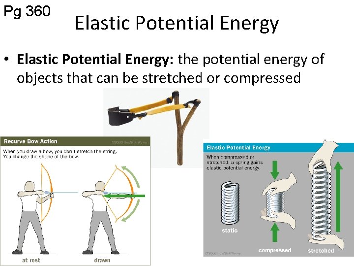 Pg 360 Elastic Potential Energy • Elastic Potential Energy: the potential energy of objects