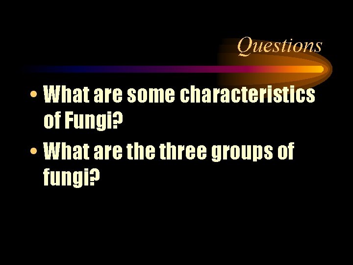 Questions • What are some characteristics of Fungi? • What are three groups of