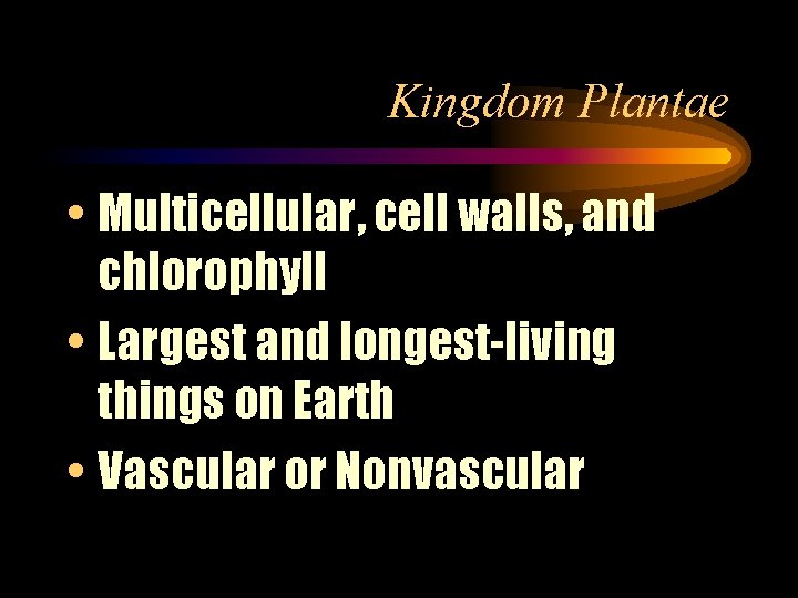 Kingdom Plantae • Multicellular, cell walls, and chlorophyll • Largest and longest-living things on