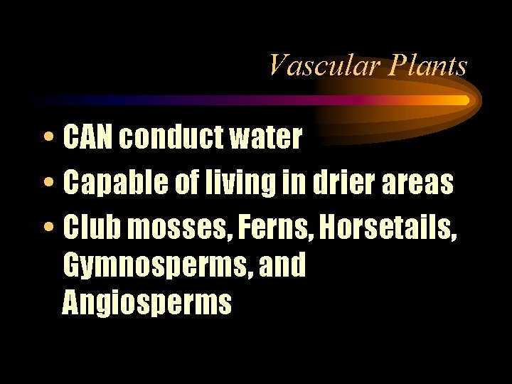 Vascular Plants • CAN conduct water • Capable of living in drier areas •
