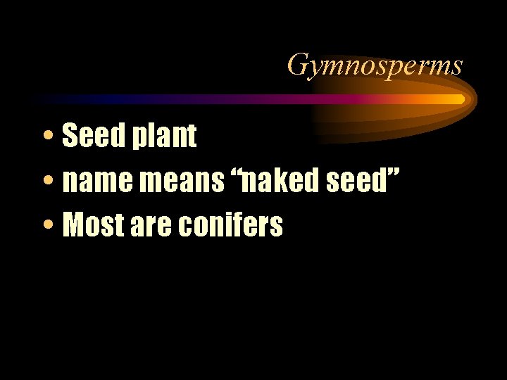 Gymnosperms • Seed plant • name means “naked seed” • Most are conifers 