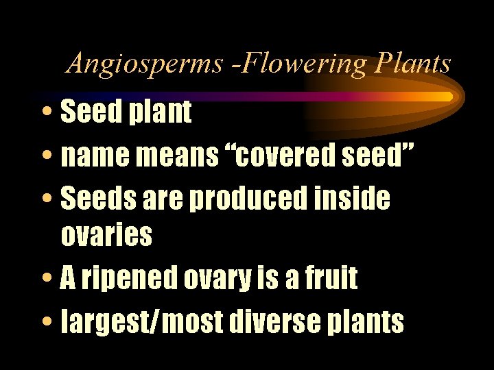 Angiosperms -Flowering Plants • Seed plant • name means “covered seed” • Seeds are