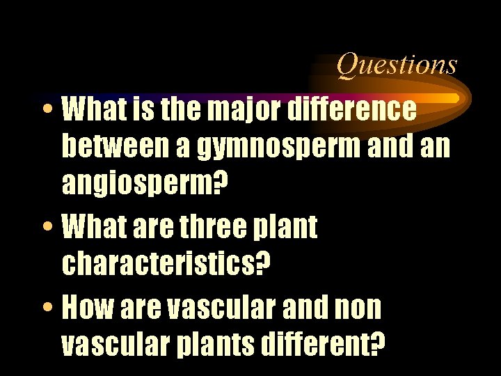 Questions • What is the major difference between a gymnosperm and an angiosperm? •