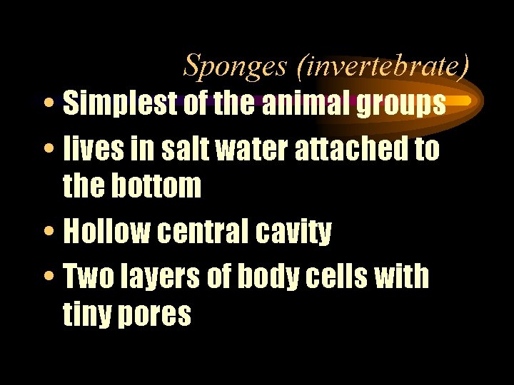 Sponges (invertebrate) • Simplest of the animal groups • lives in salt water attached