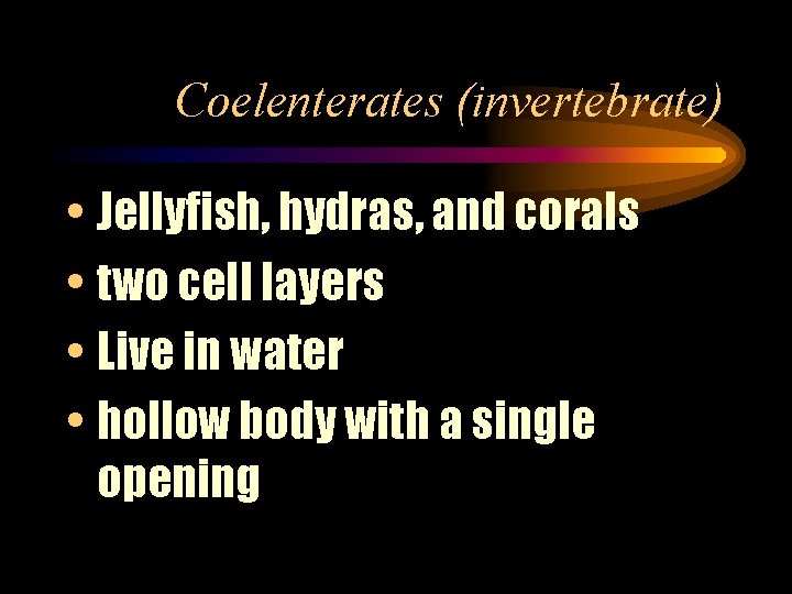 Coelenterates (invertebrate) • Jellyfish, hydras, and corals • two cell layers • Live in