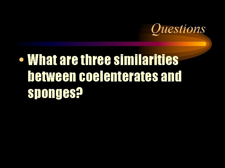 Questions • What are three similarities between coelenterates and sponges? 