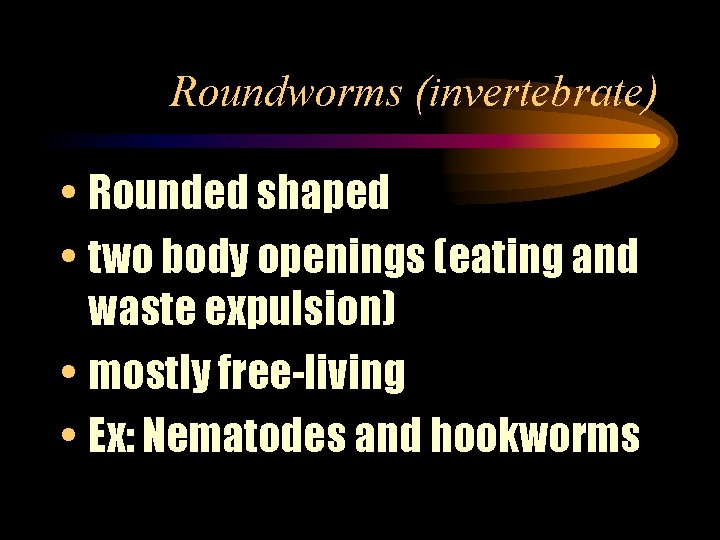 Roundworms (invertebrate) • Rounded shaped • two body openings (eating and waste expulsion) •