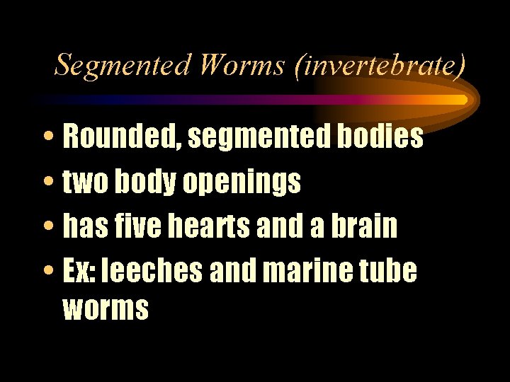 Segmented Worms (invertebrate) • Rounded, segmented bodies • two body openings • has five
