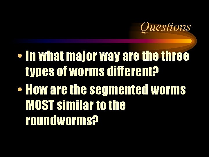 Questions • In what major way are three types of worms different? • How