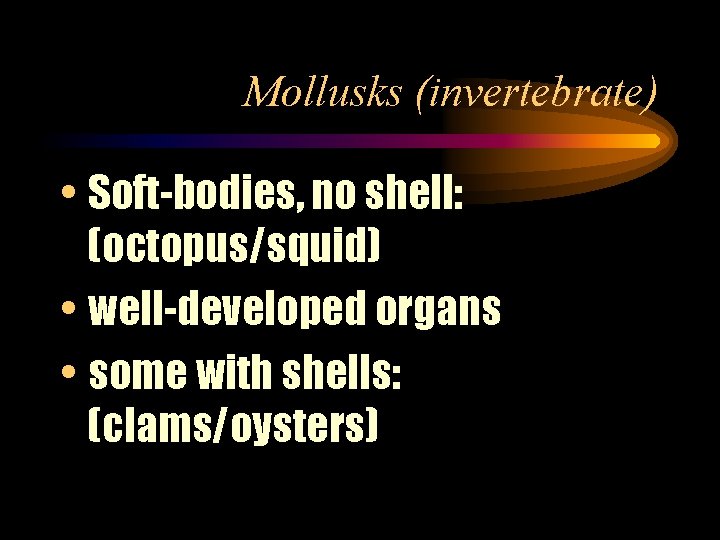 Mollusks (invertebrate) • Soft-bodies, no shell: (octopus/squid) • well-developed organs • some with shells: