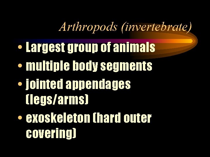 Arthropods (invertebrate) • Largest group of animals • multiple body segments • jointed appendages