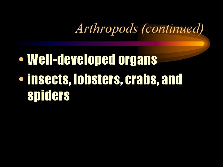 Arthropods (continued) • Well-developed organs • insects, lobsters, crabs, and spiders 