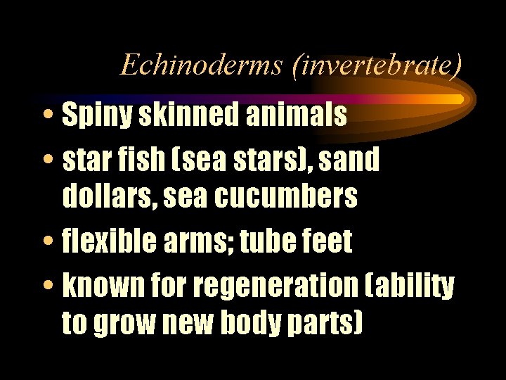 Echinoderms (invertebrate) • Spiny skinned animals • star fish (sea stars), sand dollars, sea