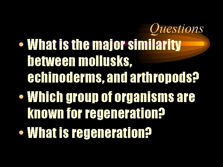 Questions • What is the major similarity between mollusks, echinoderms, and arthropods? • Which