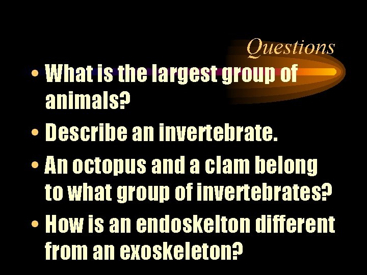 Questions • What is the largest group of animals? • Describe an invertebrate. •