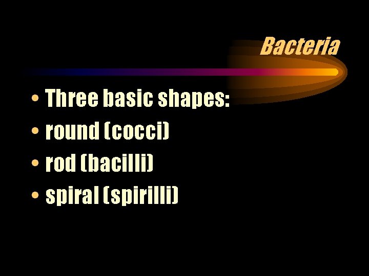 Bacteria • Three basic shapes: • round (cocci) • rod (bacilli) • spiral (spirilli)