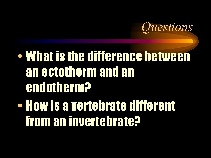 Questions • What is the difference between an ectotherm and an endotherm? • How