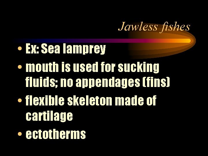 Jawless fishes • Ex: Sea lamprey • mouth is used for sucking fluids; no