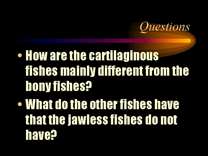 Questions • How are the cartilaginous fishes mainly different from the bony fishes? •