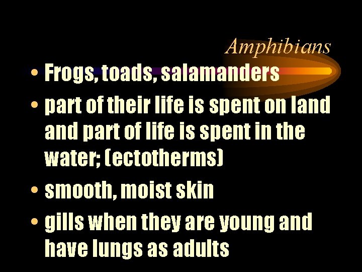 Amphibians • Frogs, toads, salamanders • part of their life is spent on land