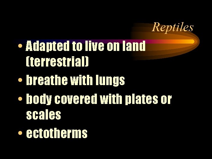 Reptiles • Adapted to live on land (terrestrial) • breathe with lungs • body