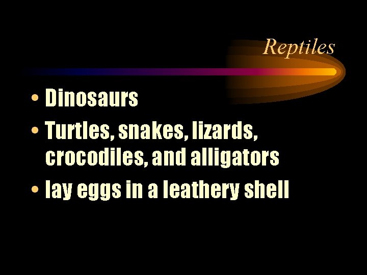 Reptiles • Dinosaurs • Turtles, snakes, lizards, crocodiles, and alligators • lay eggs in