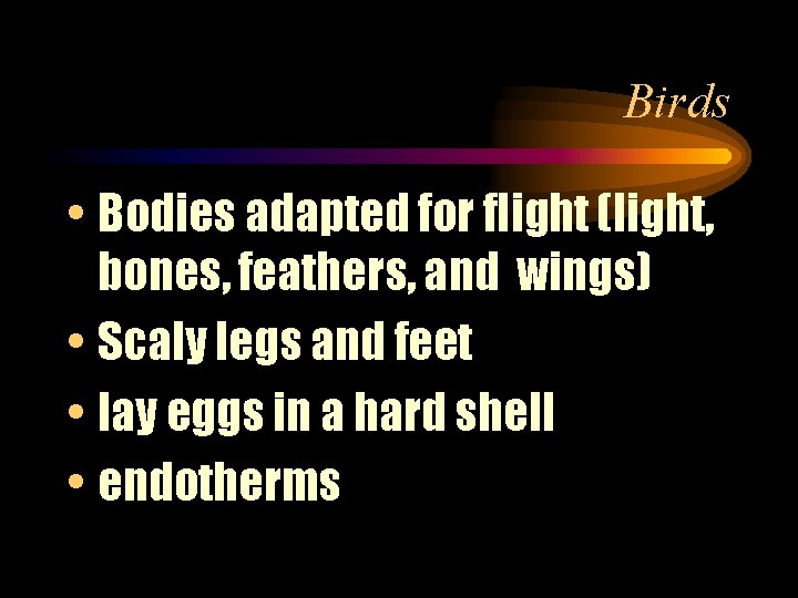 Birds • Bodies adapted for flight (light, bones, feathers, and wings) • Scaly legs
