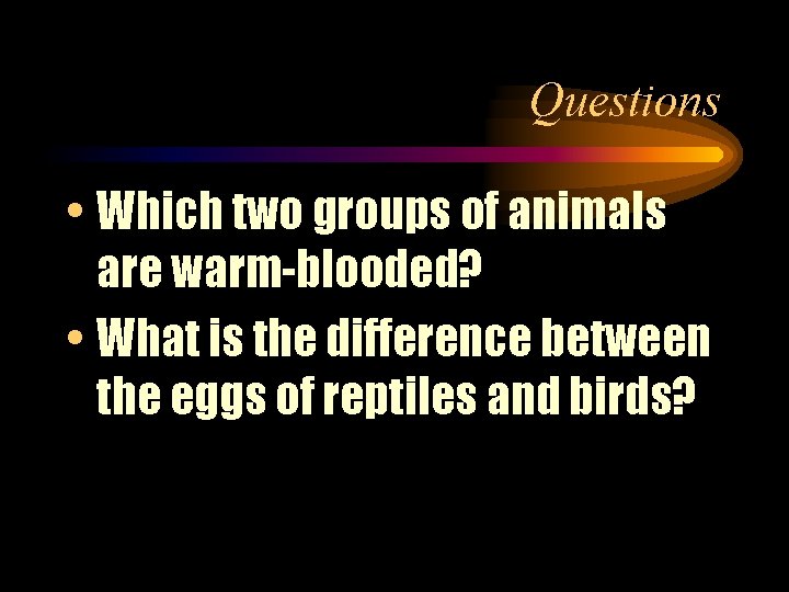 Questions • Which two groups of animals are warm-blooded? • What is the difference