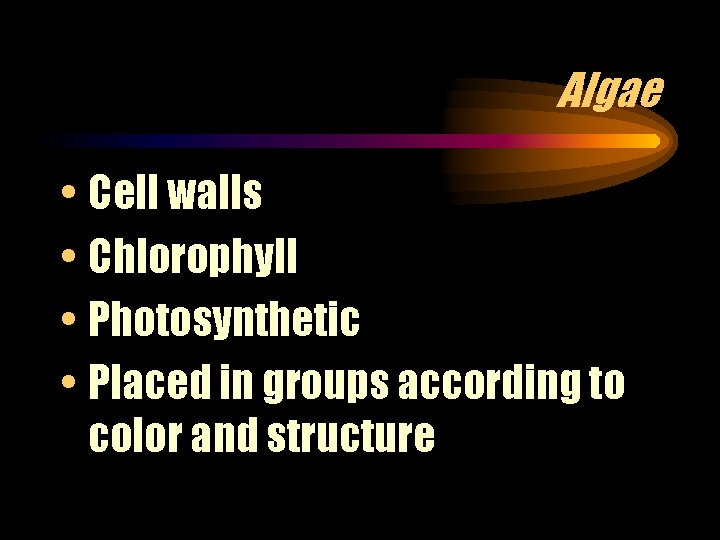Algae • Cell walls • Chlorophyll • Photosynthetic • Placed in groups according to