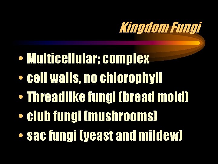 Kingdom Fungi • Multicellular; complex • cell walls, no chlorophyll • Threadlike fungi (bread