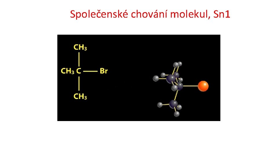 Společenské chování molekul, Sn 1 