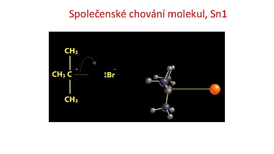 Společenské chování molekul, Sn 1 