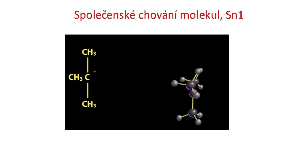 Společenské chování molekul, Sn 1 