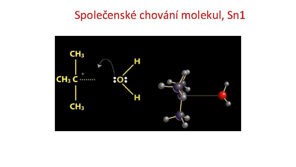 Společenské chování molekul, Sn 1 