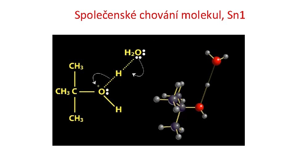 Společenské chování molekul, Sn 1 