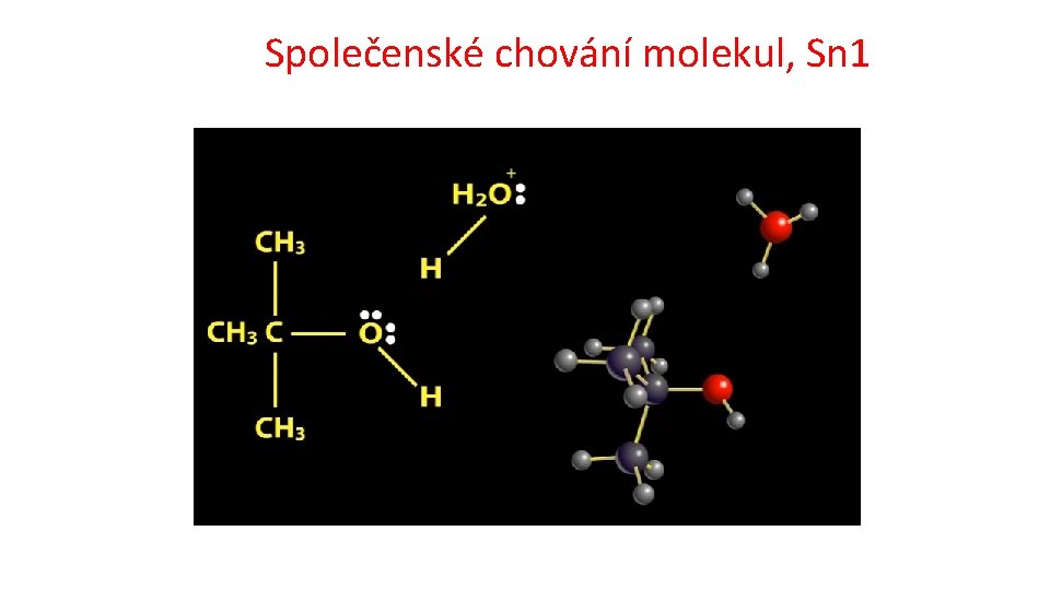 Společenské chování molekul, Sn 1 