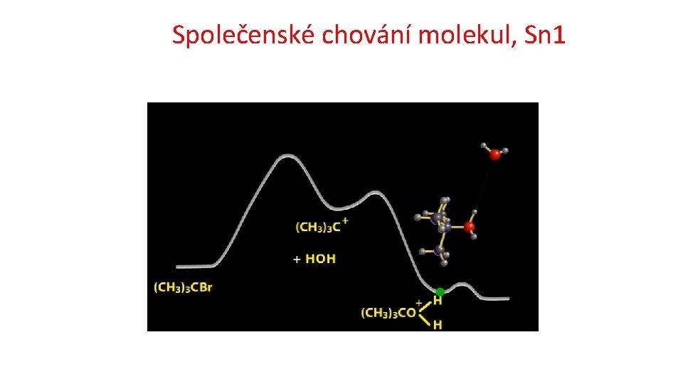 Společenské chování molekul, Sn 1 