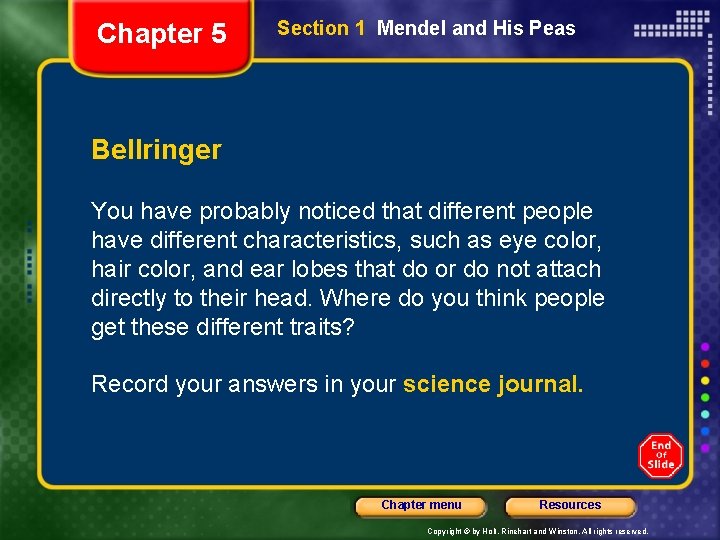 Chapter 5 Section 1 Mendel and His Peas Bellringer You have probably noticed that