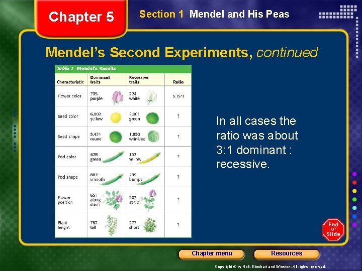 Chapter 5 Section 1 Mendel and His Peas Mendel’s Second Experiments, continued In all