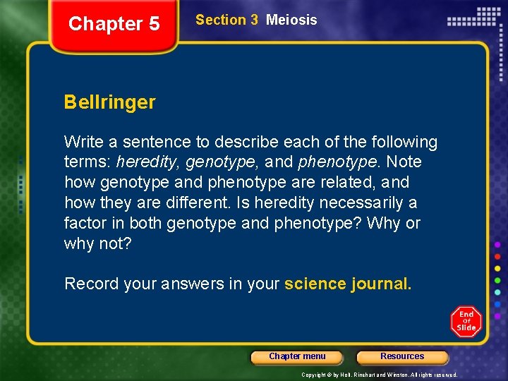 Chapter 5 Section 3 Meiosis Bellringer Write a sentence to describe each of the