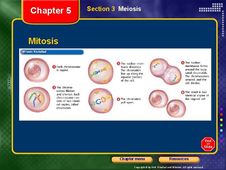 Chapter 5 Section 3 Meiosis Mitosis Chapter menu Resources Copyright © by Holt, Rinehart