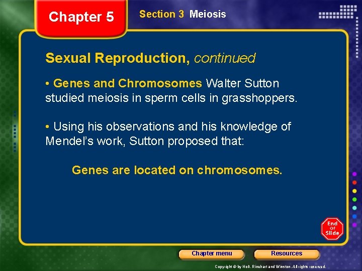 Chapter 5 Section 3 Meiosis Sexual Reproduction, continued • Genes and Chromosomes Walter Sutton