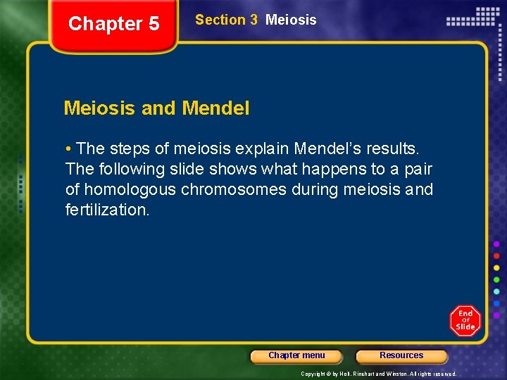 Chapter 5 Section 3 Meiosis and Mendel • The steps of meiosis explain Mendel’s