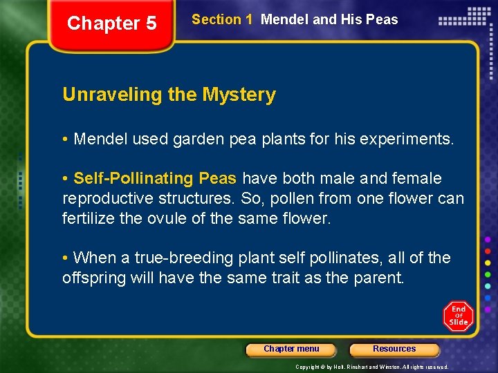 Chapter 5 Section 1 Mendel and His Peas Unraveling the Mystery • Mendel used