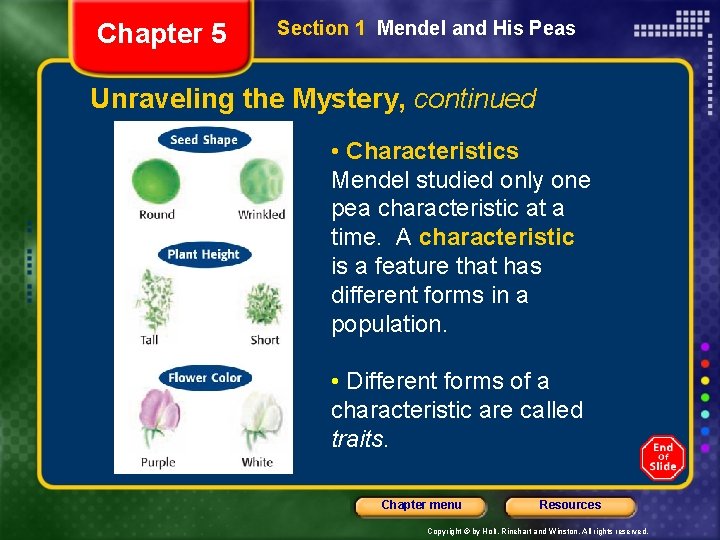 Chapter 5 Section 1 Mendel and His Peas Unraveling the Mystery, continued • Characteristics