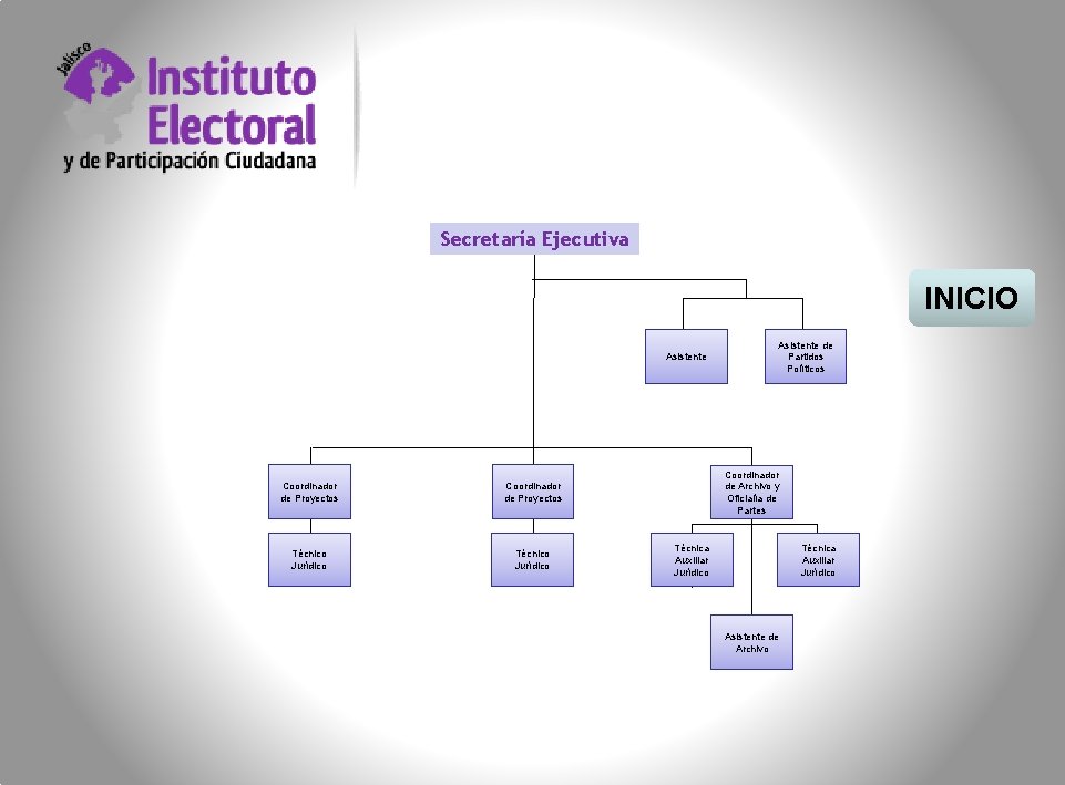 Secretaría Ejecutiva INICIO Asistente Coordinador de Proyectos Técnico Jurídico Asistente de Partidos Políticos Coordinador