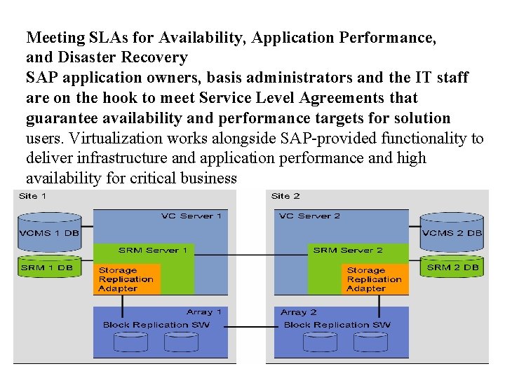 Meeting SLAs for Availability, Application Performance, and Disaster Recovery SAP application owners, basis administrators