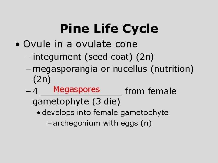 Pine Life Cycle • Ovule in a ovulate cone – integument (seed coat) (2