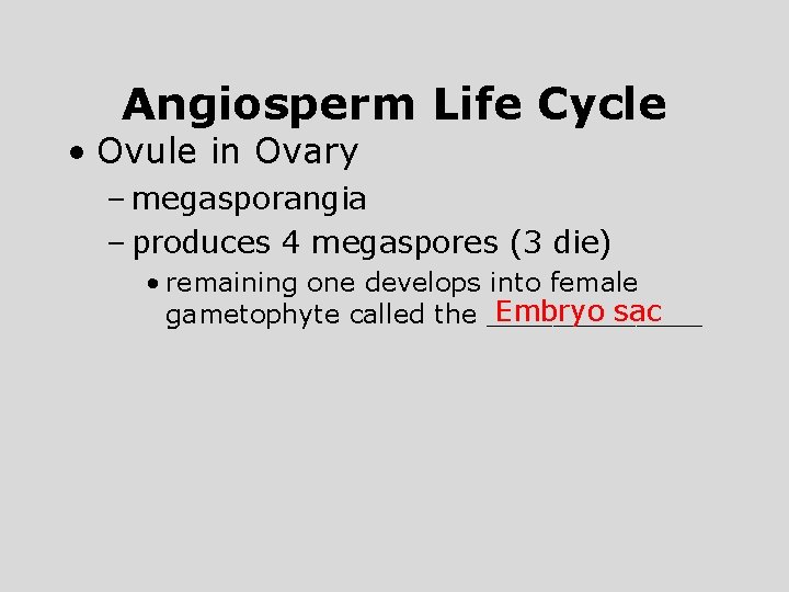 Angiosperm Life Cycle • Ovule in Ovary – megasporangia – produces 4 megaspores (3