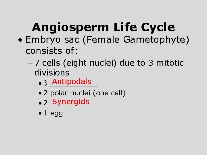 Angiosperm Life Cycle • Embryo sac (Female Gametophyte) consists of: – 7 cells (eight
